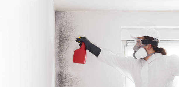 Best Residential Mold Removal  in Midway City, CA