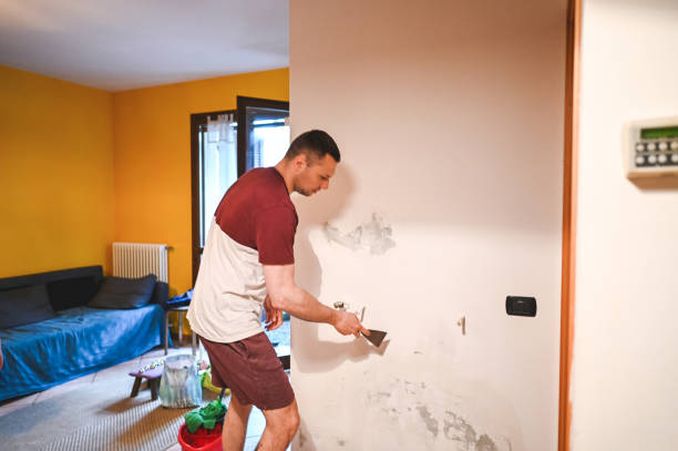 Trusted Midway City, CA Mold Removal Experts