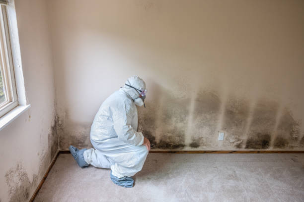 Best Mold Testing  in Midway City, CA