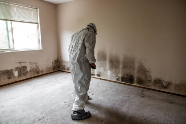 Best Home Mold Removal  in Midway City, CA